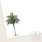 Vintage Palm Flat Notecards product 3